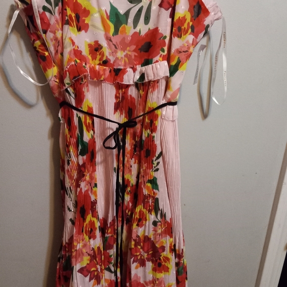 𝅺NWT Anthropolgie Foxidox Floral Accordian Pleated Dress - Picture 4 of 14